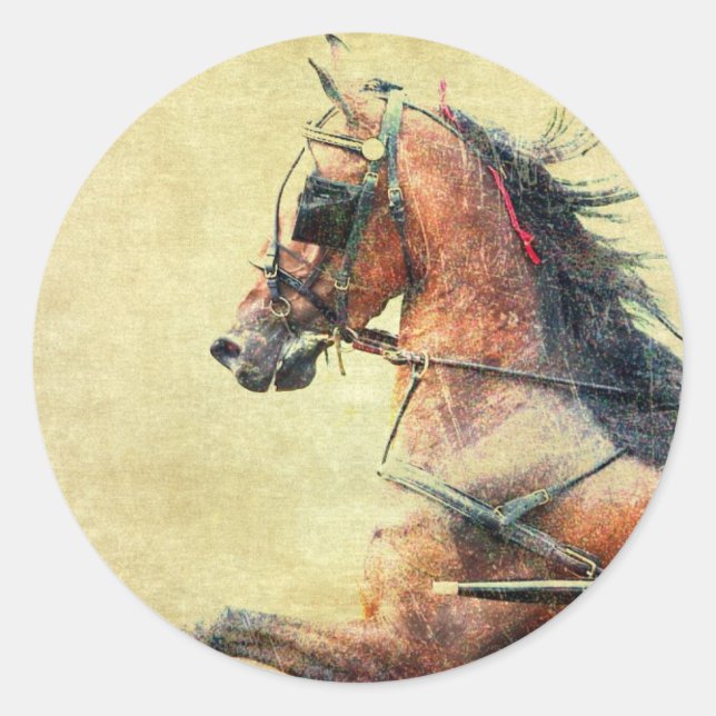 Pegatina Redonda Poni de Hackney (Anverso)