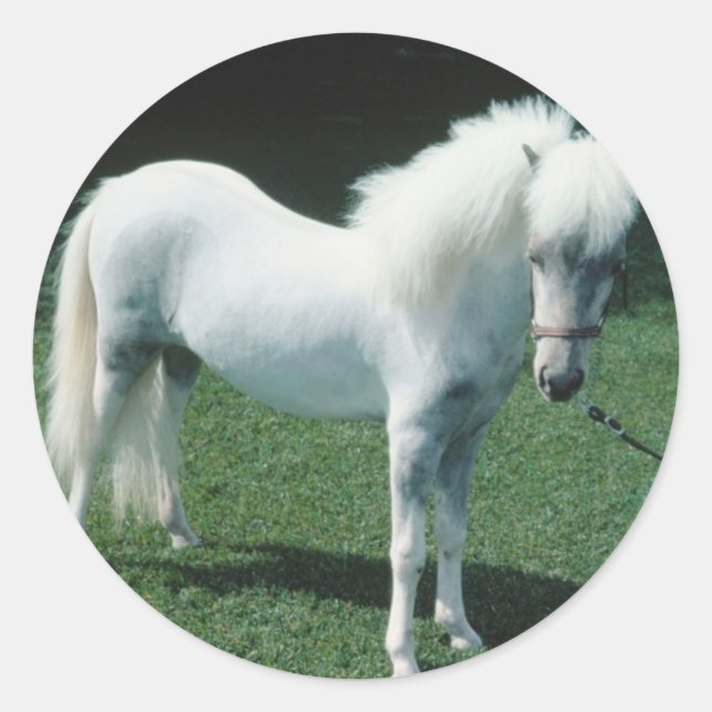 Pegatina Redonda Pony blanco poofy (Anverso)