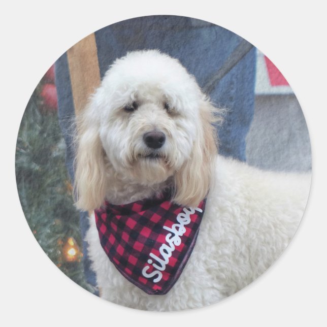 Pegatina Redonda Poodle (Anverso)