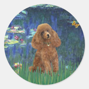 Pegatina Redonda Poodle (Apricot 10) - Lilies 5