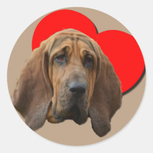 Pegatina Redonda PopArt Colorido Bloodhound Heart Love Art  