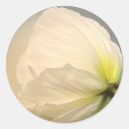 Pegatina Redonda Poppy blanco