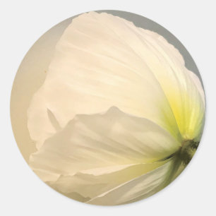 Pegatina Redonda Poppy blanco