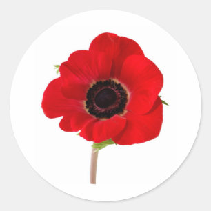 Pegatina Redonda POPPY de recuerdo