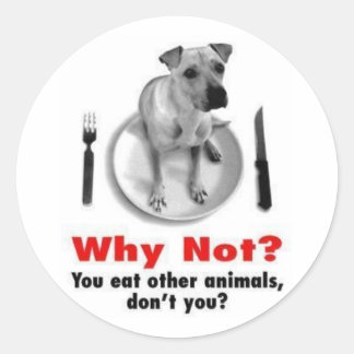 Pegatina Redonda ¿Por qué no? (Versión de pegatina)