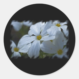 Pegatina Redonda Potencia de flor