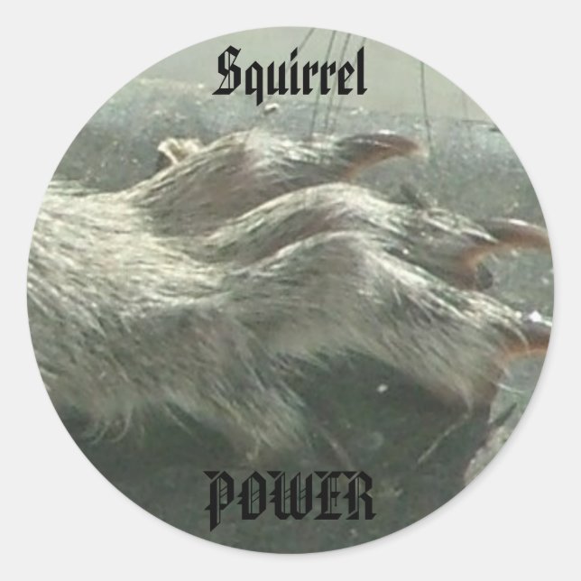 Pegatina Redonda Potencia de las ardillas (Anverso)