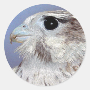 Pegatina Redonda Prairie Falcon