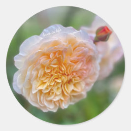 Pegatina Redonda Preciosa Preciosa Rosa