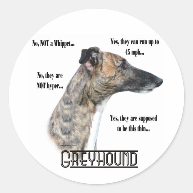 Pegatina Redonda Preguntas frecuentes de Greyhound Sicker (Anverso)