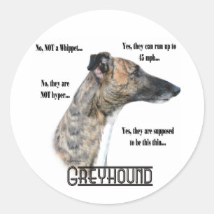 Pegatina Redonda Preguntas frecuentes de Greyhound Sicker