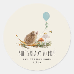 Pegatina Redonda Preparado para pop hongos Hedgehog Balloon Boy