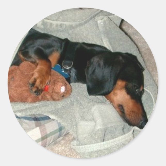 Pegatina Redonda Pretzel y Pal (Anverso)