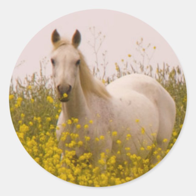 Pegatina Redonda Primavera