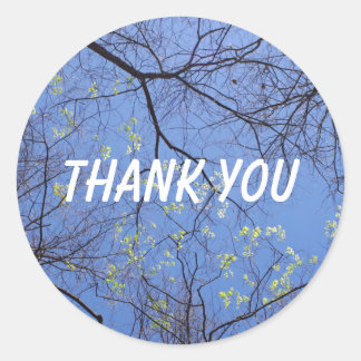Pegatina Redonda Primavera Árboles Gracias