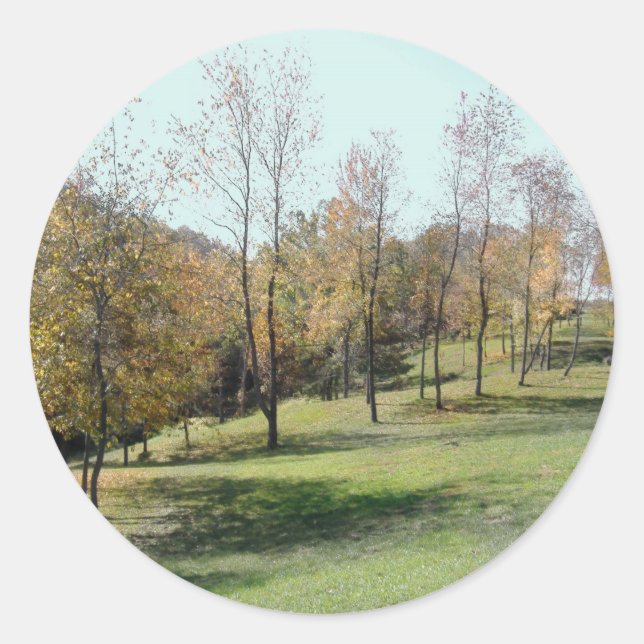 Pegatina Redonda Primavera como árboles (Anverso)