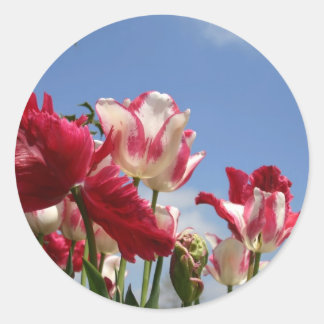Pegatina Redonda Primavera del Capitolio de Estados Unidos