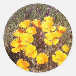 Pegatina Redonda Primavera del primer beso ~ California Poppies