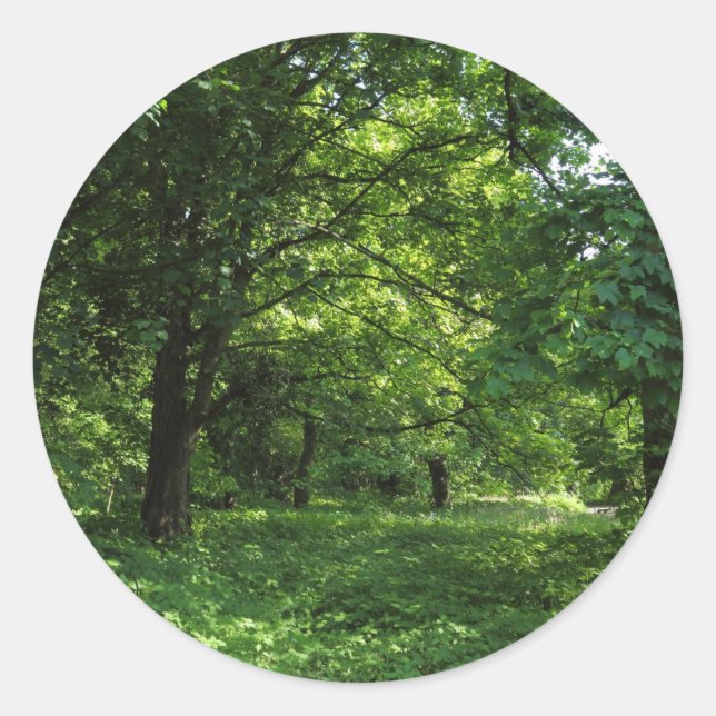 Pegatina Redonda Primavera en los bosques 01 (Anverso)