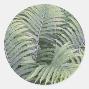 Pegatina Redonda Primavera En Maine