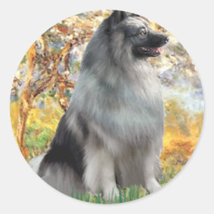 Pegatina Redonda Primavera - Keeshond