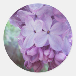 Pegatina Redonda Primavera púrpura