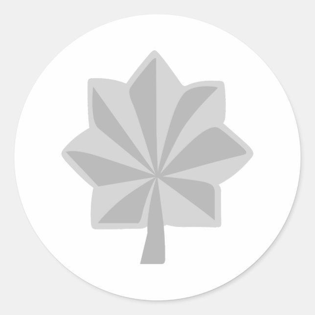 PEGATINA REDONDA PRINCIPAL COLONEL LT (Anverso)