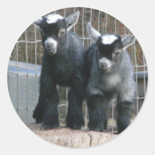 Pegatina Redonda Problema doble