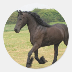 Pegatina Redonda Producto del personalizar