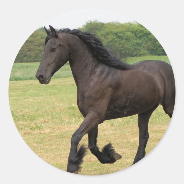 Pegatina Redonda Producto personalizar (Anverso)