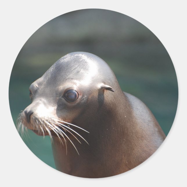 Pegatina Redonda Producto personalizar (Anverso)