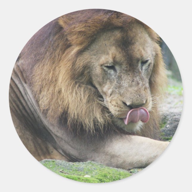 Pegatina Redonda Producto personalizar (Anverso)