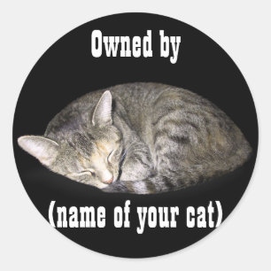 Pegatina Redonda Propiedad de (nombre de su gato)