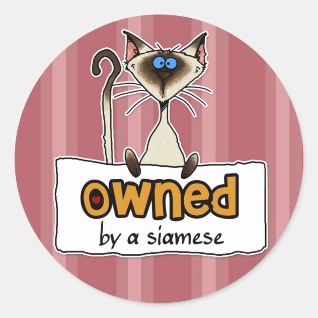 Pegatina Redonda propiedad de un siamés (Anverso)