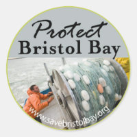 Proteger la bahía de Bristol
