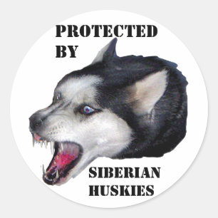 PEGATINA REDONDA PROTEGIDOS POR SIBERIAN HUSKIES