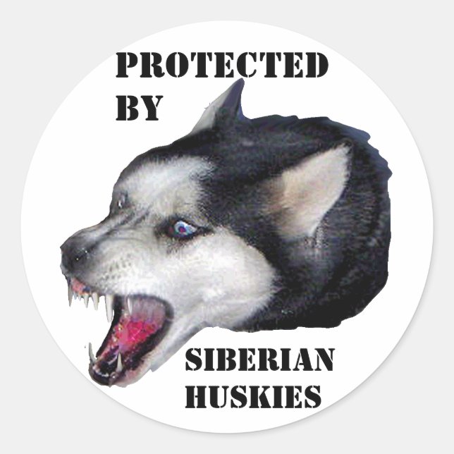 PEGATINA REDONDA PROTEGIDOS POR SIBERIAN HUSKIES (Anverso)