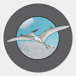 Pegatina Redonda Pteranodon