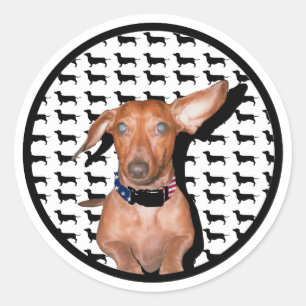 Pegatina Redonda Puedo Escucharte