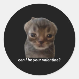 Pegatina Redonda ¿Puedo ser tu San Valentín Meme de gato divertido 