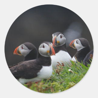 Pegatina Redonda Puffin Gang
