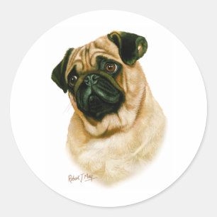 Pegatina Redonda Pug