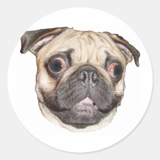 Pegatina Redonda Pug