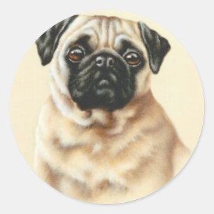 Pegatina Redonda Pug chino