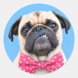 Pegatina Redonda Pug con lazo rosa