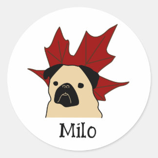 Pegatina Redonda Pug con una hoja grande