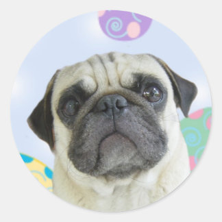 Pegatina Redonda Pug de saludos de Pascua
