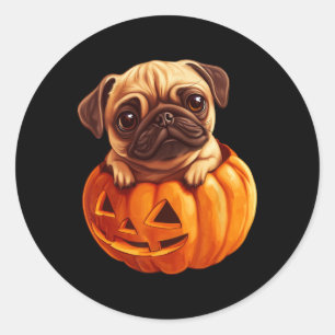 Pegatina Redonda Pug En Calabaza Halloween Pugkin Cute Pug Hallowee