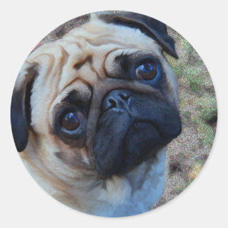 Pegatina Redonda Pug esperanzador