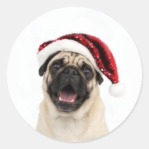 Pegatina Redonda Pug Feliz con Gorro de Santa Rojo Brillante en Nav
